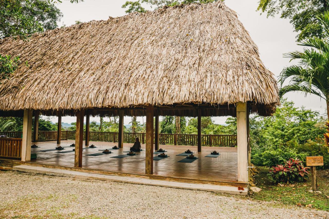 Toledo District Copal Tree Lodge A Muy'Ono Resort מראה חיצוני תמונה