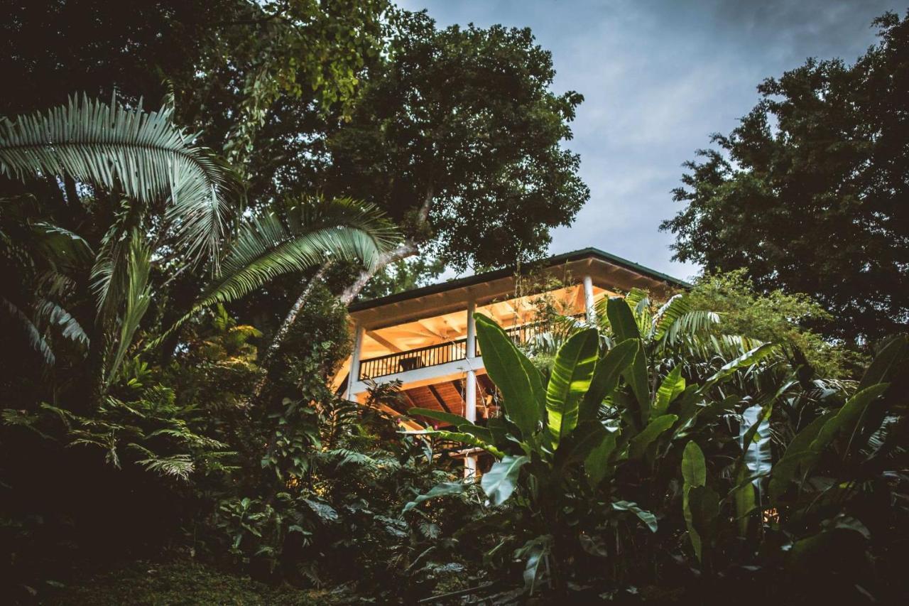 Toledo District Copal Tree Lodge A Muy'Ono Resort מראה חיצוני תמונה